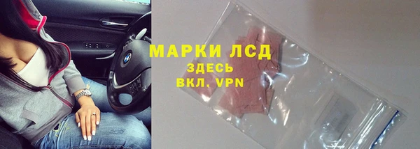 хмурый Каменногорск