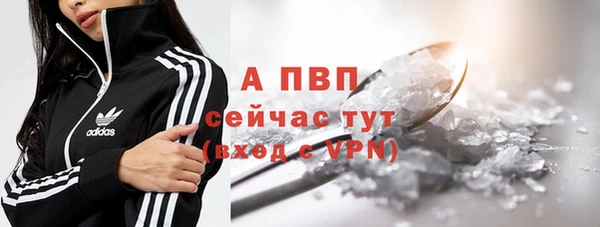 мет Инта