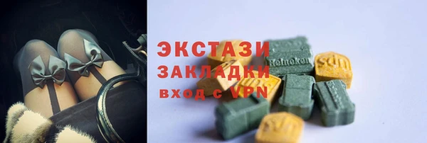мет Инта