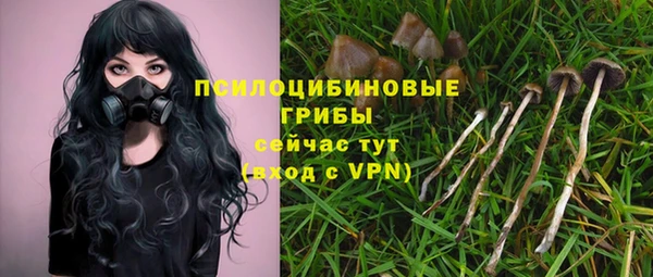 хмурый Каменногорск