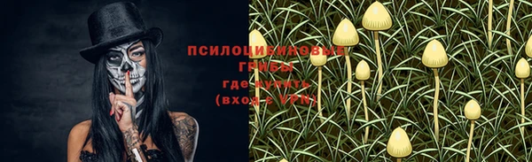 хмурый Каменногорск