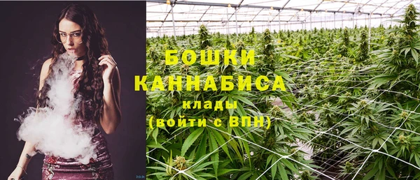 хмурый Каменногорск