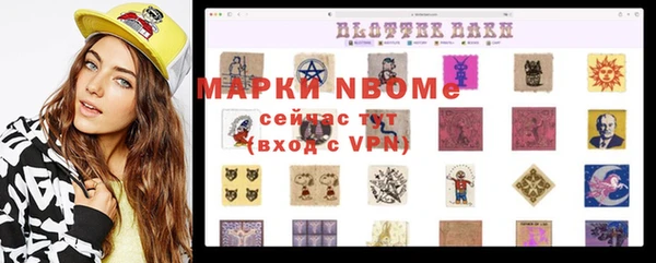 мет Инта