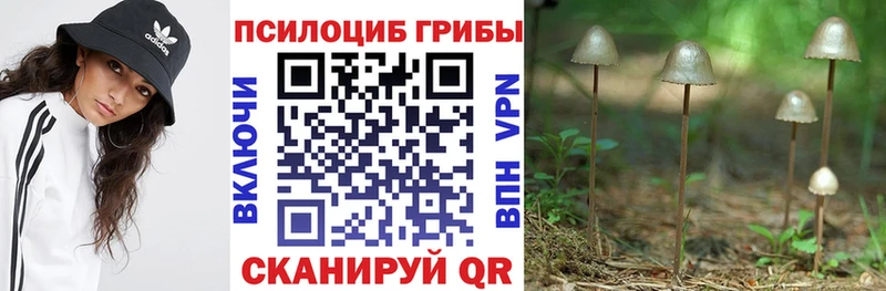 Галлюциногенные грибы Magic Shrooms  Купить закладки  Горняк 